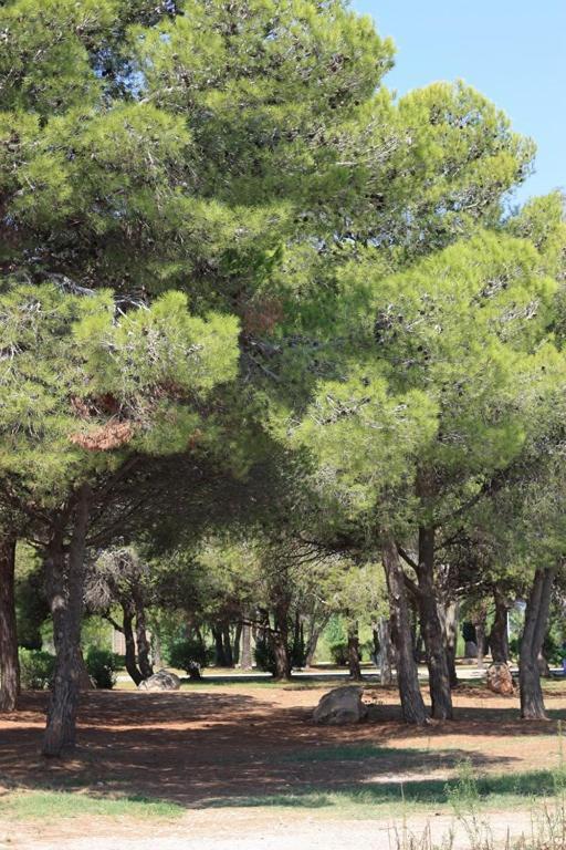 Villa Casa Mireia I Paula Riumar Esterno foto